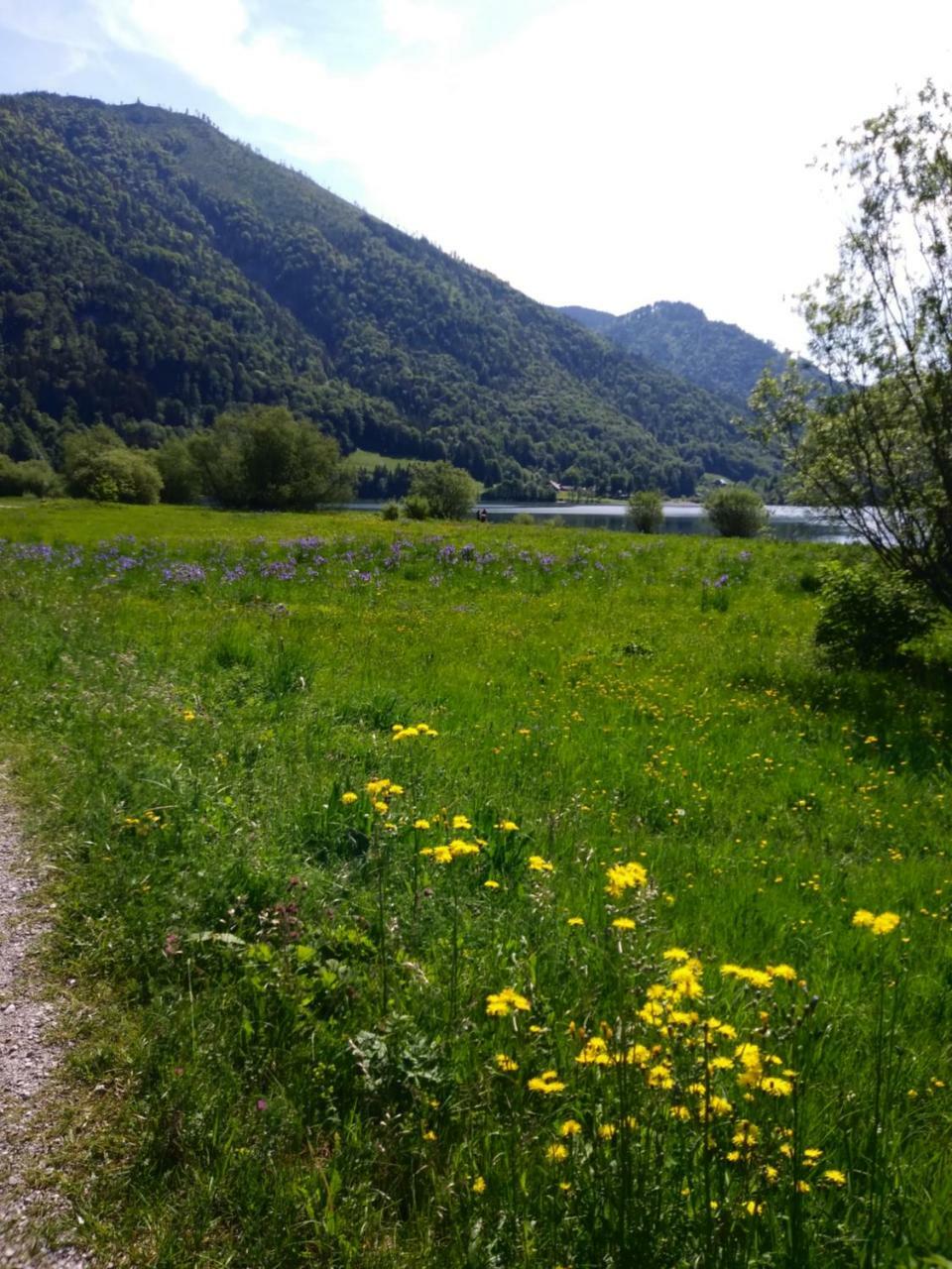 Bed and Breakfast Privatzimmer Eva Leitgeb Faistenau Zewnętrze zdjęcie
